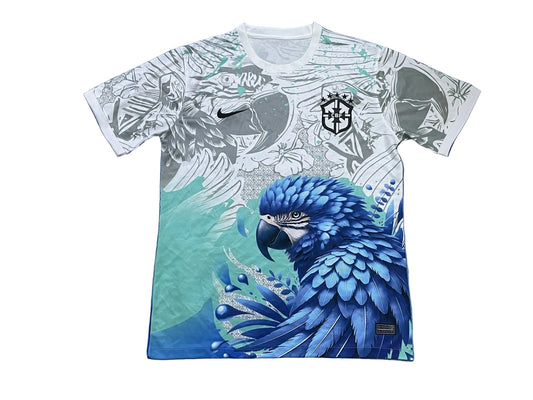 BRÉSIL CONCEPT OISEAUX