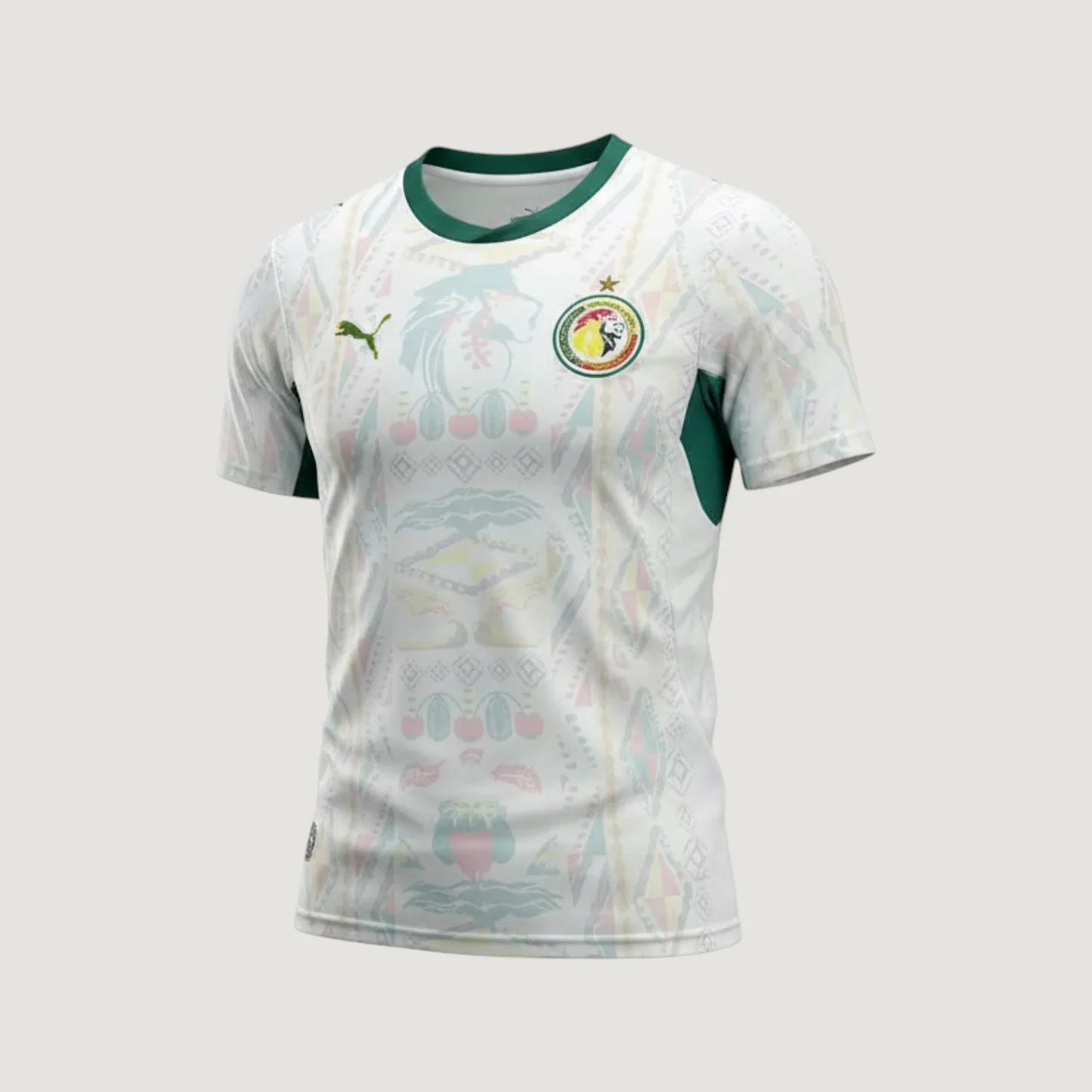 SÉNÉGAL DOMICILE 26/27