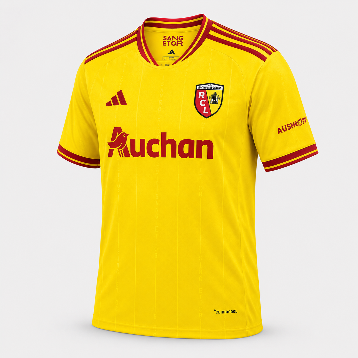 RC LENS DOMICILE 26/27