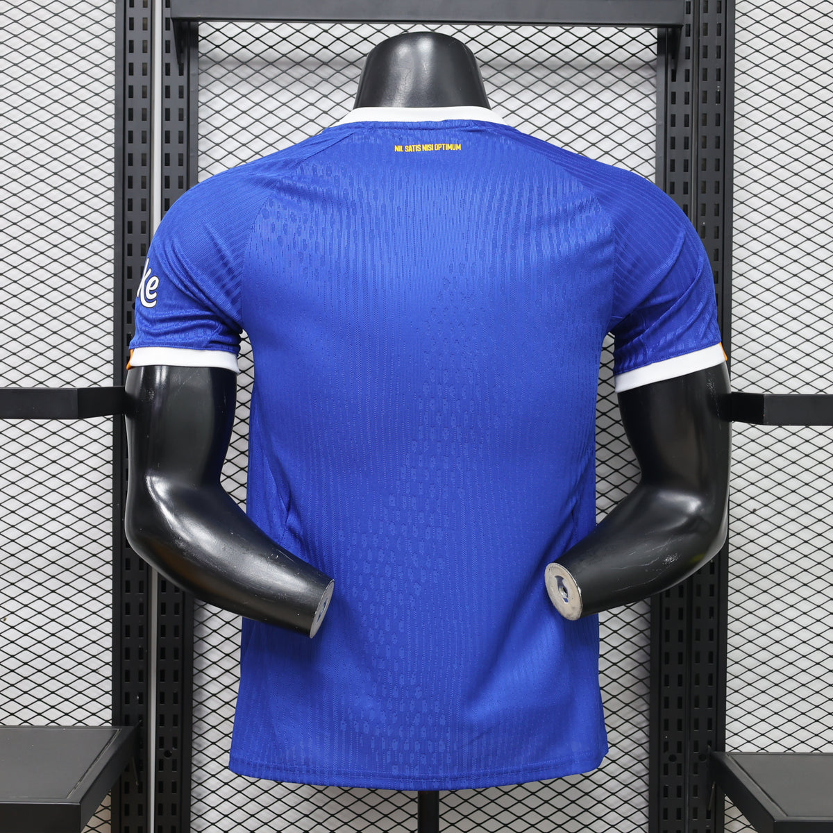 EVERTON DOMICILE 26-27 — PLAYER VERSION