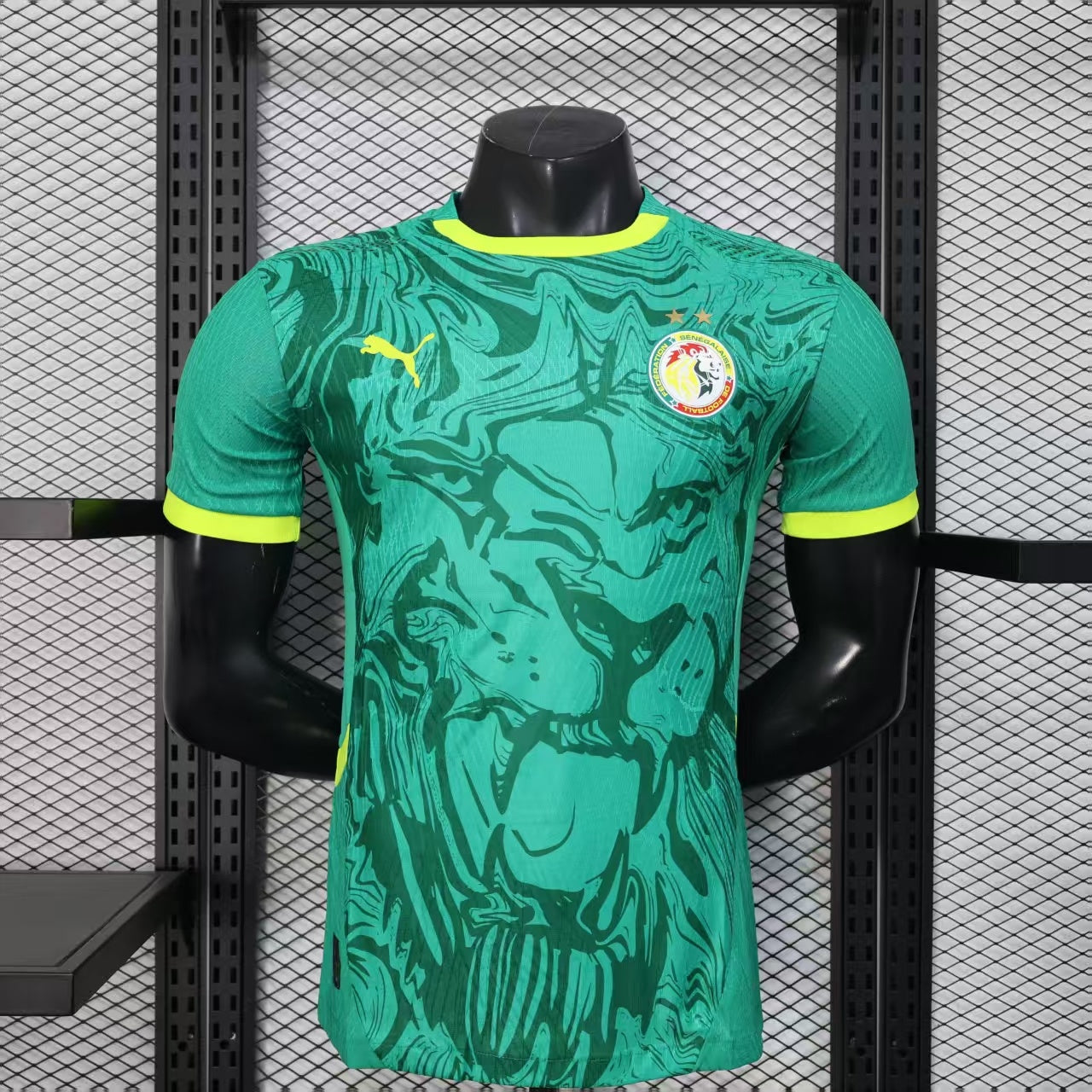 SÉNÉGAL 2 ÉTOILES EXTÉRIEUR VERT — PLAYER VERSION